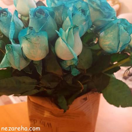 عکس گل رز آبی , رز آبی , عکس زیبا گل رز آبی , رز آبی مناسب برای پروفایل