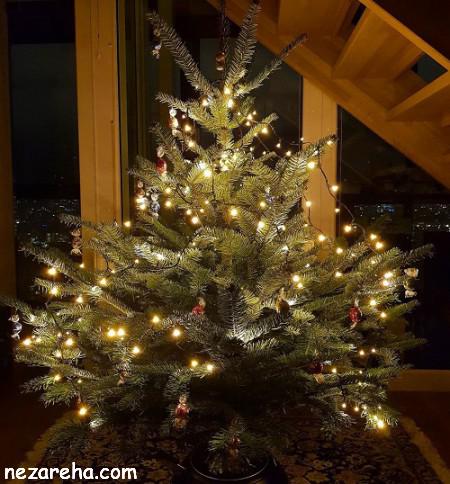 عکس درخت کریسمس , فلسفه درخت کریسمس , تزیین درخت کریسمس