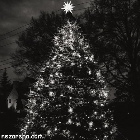 عکس درخت کریسمس , فلسفه درخت کریسمس , تزیین درخت کریسمس